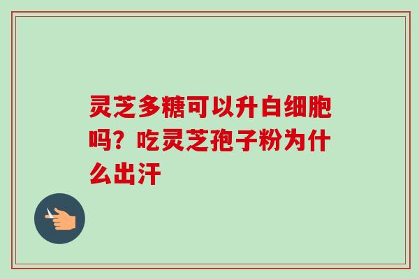 灵芝多糖可以升白细胞吗？吃灵芝孢子粉为什么出汗