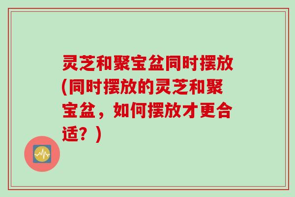 灵芝和聚宝盆同时摆放(同时摆放的灵芝和聚宝盆，如何摆放才更合适？)