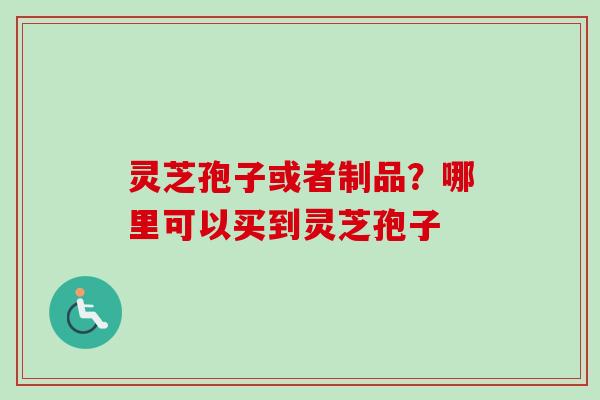 灵芝孢子或者制品？哪里可以买到灵芝孢子