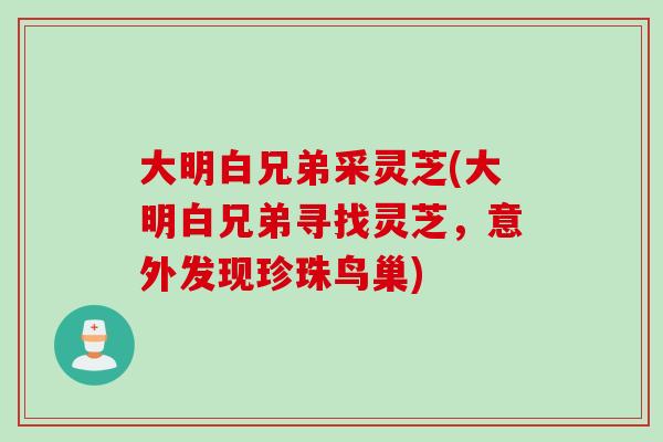大明白兄弟采灵芝(大明白兄弟寻找灵芝，意外发现珍珠鸟巢)
