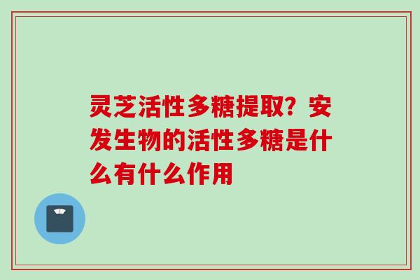 灵芝活性多糖提取？安发生物的活性多糖是什么有什么作用