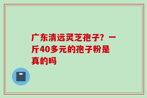 广东清远灵芝孢子？一斤40多元的孢子粉是真的吗