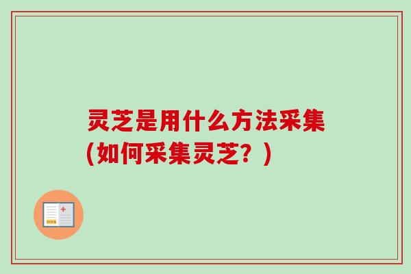 灵芝是用什么方法采集(如何采集灵芝？)