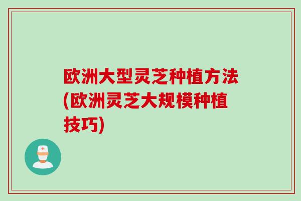 欧洲大型灵芝种植方法(欧洲灵芝大规模种植技巧)