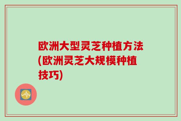 欧洲大型灵芝种植方法(欧洲灵芝大规模种植技巧) 欧洲大型灵芝种植方法(欧洲灵芝大规模种植技巧)