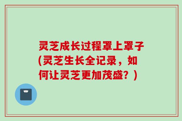 灵芝成长过程罩上罩子(灵芝生长全记录，如何让灵芝更加茂盛？)