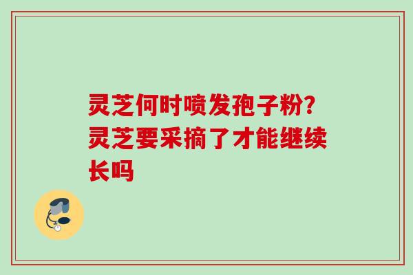 灵芝何时喷发孢子粉？灵芝要采摘了才能继续长吗