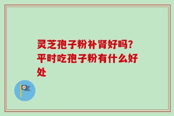灵芝孢子粉补肾好吗？平时吃孢子粉有什么好处