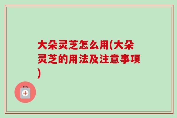大朵灵芝怎么用(大朵灵芝的用法及注意事项)