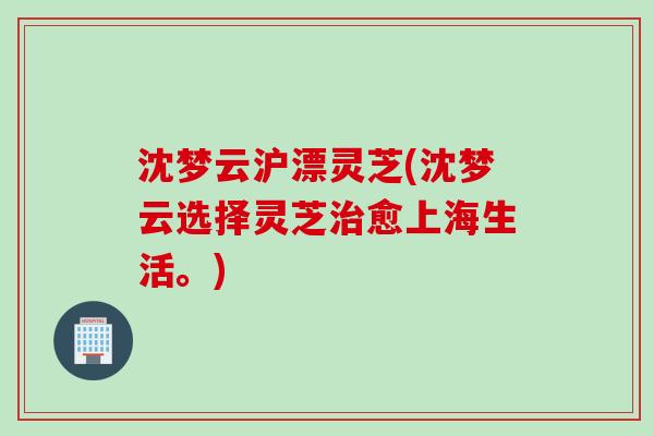 沈梦云沪漂灵芝(沈梦云选择灵芝治愈上海生活。)