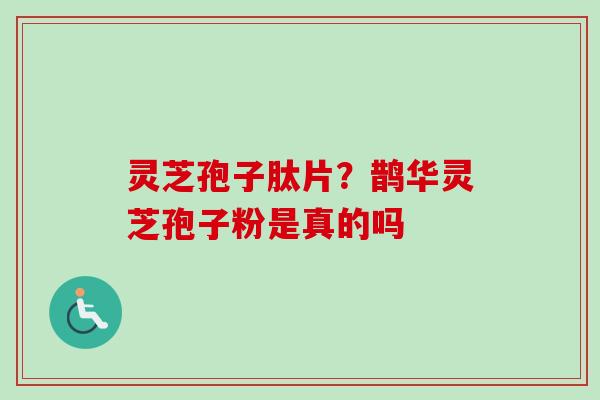 灵芝孢子肽片？鹊华灵芝孢子粉是真的吗