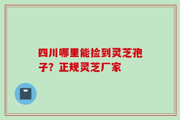 四川哪里能捡到灵芝孢子？正规灵芝厂家