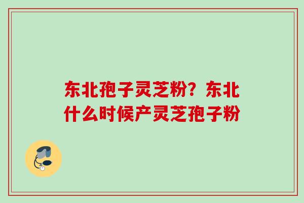 东北孢子灵芝粉？东北什么时候产灵芝孢子粉