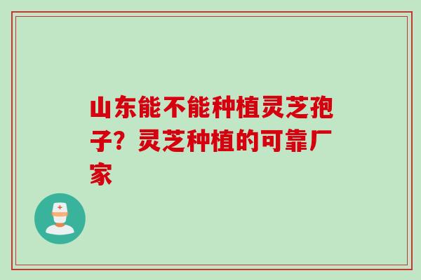 山东能不能种植灵芝孢子？灵芝种植的可靠厂家