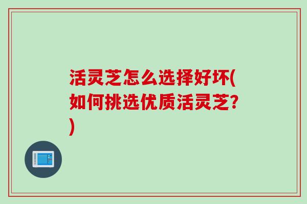 活灵芝怎么选择好坏(如何挑选优质活灵芝？)