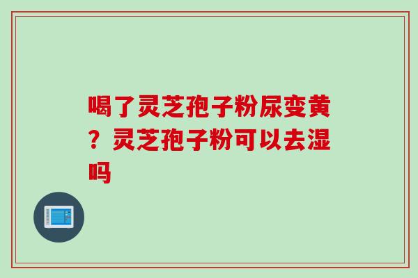 喝了灵芝孢子粉尿变黄？灵芝孢子粉可以去湿吗