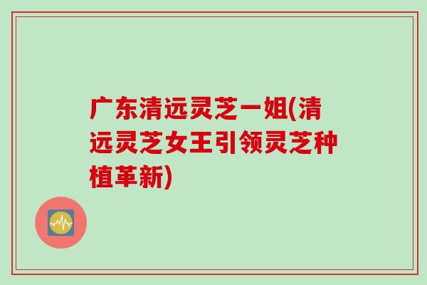 广东清远灵芝一姐(清远灵芝女王引领灵芝种植革新)