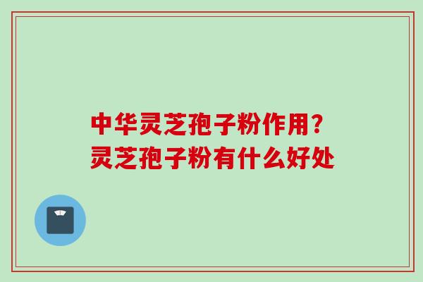 中华灵芝孢子粉作用？灵芝孢子粉有什么好处