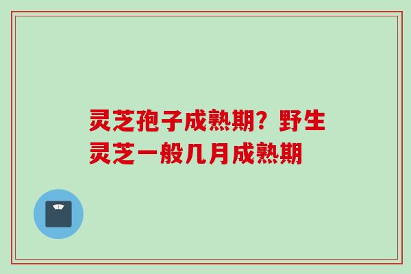 灵芝孢子成熟期？野生灵芝一般几月成熟期