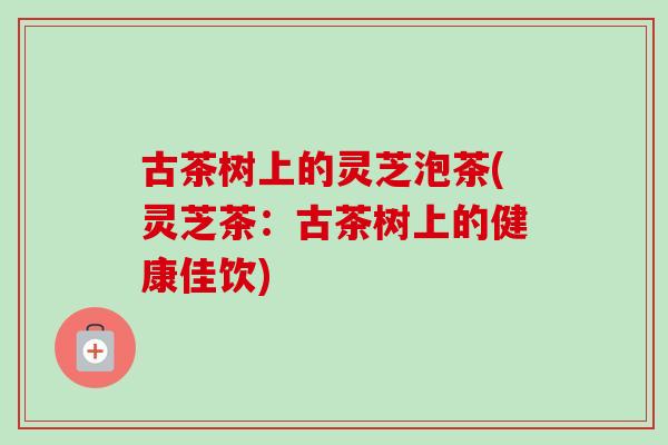 古茶树上的灵芝泡茶(灵芝茶：古茶树上的健康佳饮)