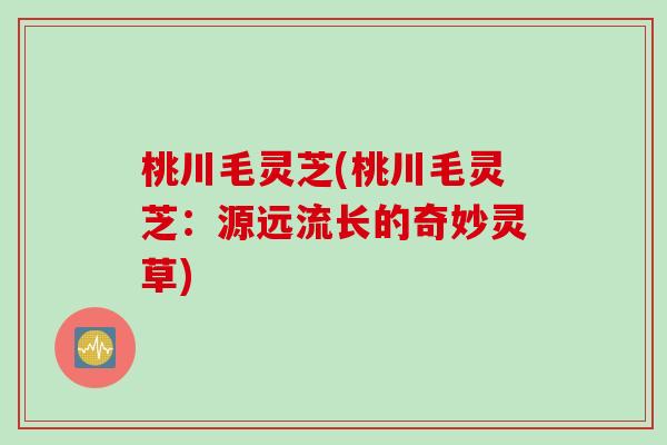 桃川毛灵芝(桃川毛灵芝：源远流长的奇妙灵草)