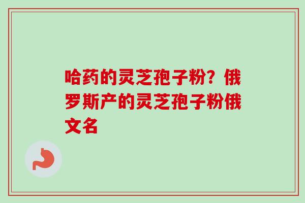 哈药的灵芝孢子粉？俄罗斯产的灵芝孢子粉俄文名