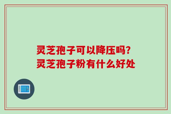 灵芝孢子可以降压吗？灵芝孢子粉有什么好处