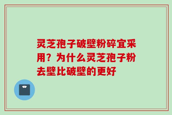 灵芝孢子破壁粉碎宜采用？为什么灵芝孢子粉去壁比破壁的更好