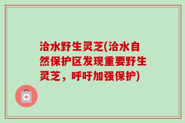 洽水野生灵芝(洽水自然保护区发现重要野生灵芝，呼吁加强保护)
