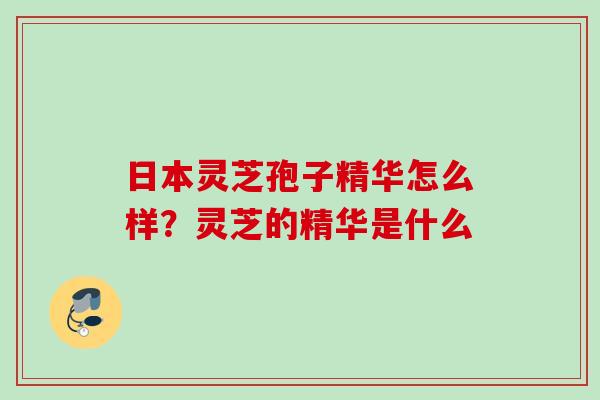 日本灵芝孢子精华怎么样？灵芝的精华是什么