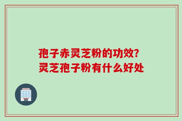 孢子赤灵芝粉的功效?灵芝孢子粉有什么好处 孢子赤灵芝粉的功效?灵芝孢子粉有什么好处