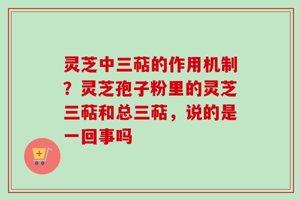 灵芝中三萜的作用机制？灵芝孢子粉里的灵芝三萜和总三萜，说的是一回事吗