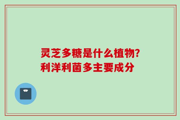 灵芝多糖是什么植物？利洋利菌多主要成分