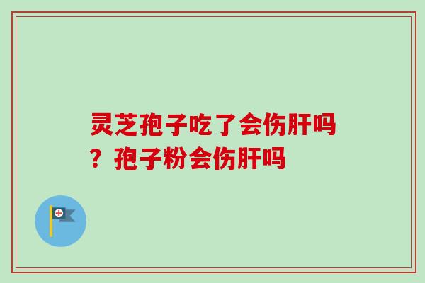灵芝孢子吃了会伤肝吗？孢子粉会伤肝吗
