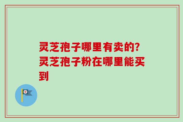 灵芝孢子哪里有卖的？灵芝孢子粉在哪里能买到