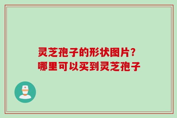 灵芝孢子的形状图片？哪里可以买到灵芝孢子