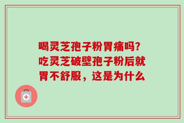 喝灵芝孢子粉胃痛吗？吃灵芝破壁孢子粉后就胃不舒服，这是为什么