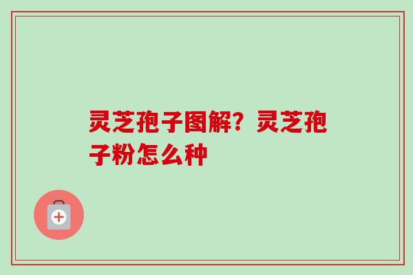 灵芝孢子图解？灵芝孢子粉怎么种