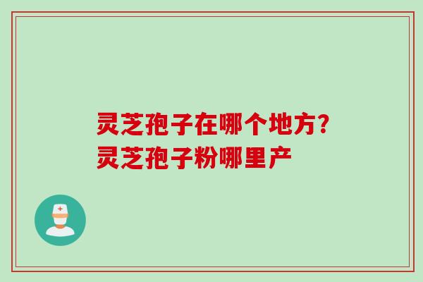 灵芝孢子在哪个地方？灵芝孢子粉哪里产