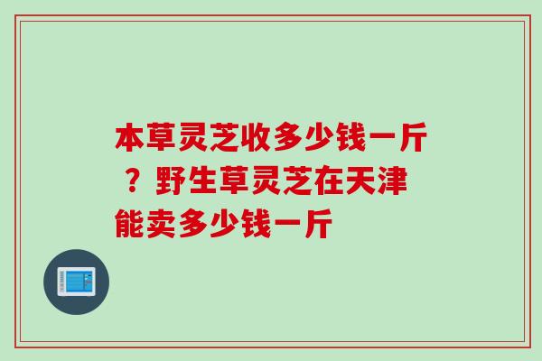 本草灵芝收多少钱一斤 ？野生草灵芝在天津能卖多少钱一斤
