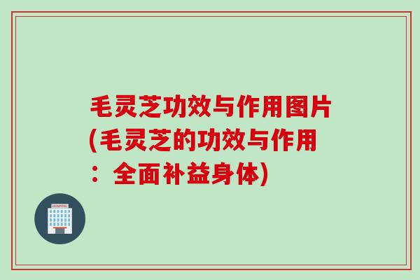 毛灵芝功效与作用图片(毛灵芝的功效与作用：全面补益身体)