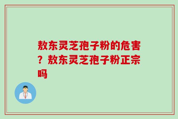 敖东灵芝孢子粉的危害？敖东灵芝孢子粉正宗吗