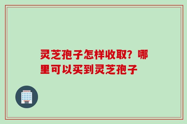 灵芝孢子怎样收取？哪里可以买到灵芝孢子
