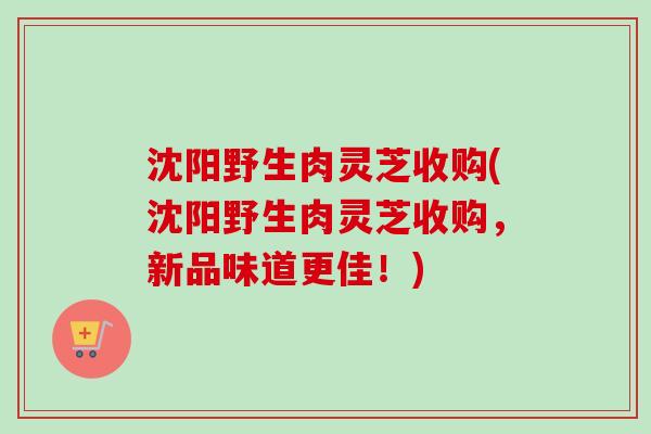 沈阳野生肉灵芝收购(沈阳野生肉灵芝收购，新品味道更佳！)