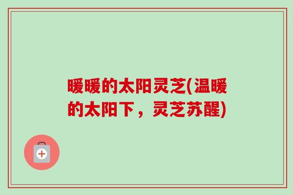 暖暖的太阳灵芝(温暖的太阳下，灵芝苏醒)