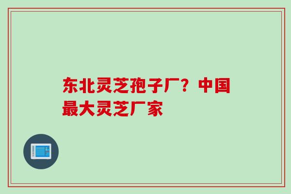 东北灵芝孢子厂？中国最大灵芝厂家