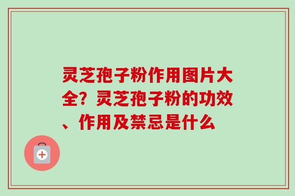 灵芝孢子粉作用图片大全？灵芝孢子粉的功效、作用及禁忌是什么