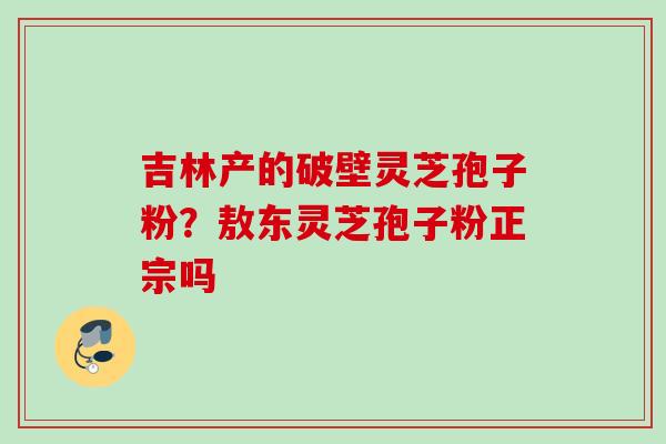 吉林产的破壁灵芝孢子粉？敖东灵芝孢子粉正宗吗