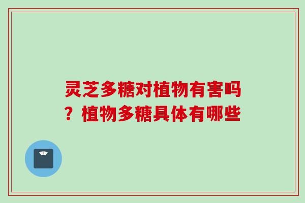 灵芝多糖对植物有害吗？植物多糖具体有哪些