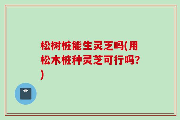 松树桩能生灵芝吗(用松木桩种灵芝可行吗？)
